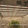6500K Grow light 800W For Indoor Plant